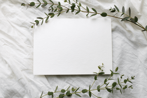 White Paper Mockup Leaves