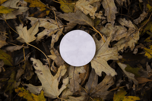 Round White Patch Mockup