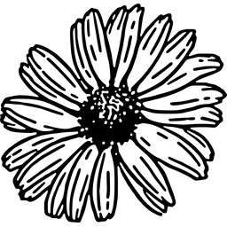 Beauty Petal Bloom Orange Vector Svg