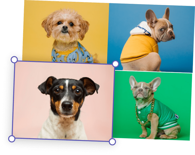 Combine Two or More JPG Images into a Collage